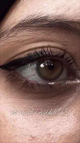 تم میرے لئیے کیا تھے !❤️‍🩹 #poetrylover #poetrytime #inmoodoftiktok #vibewithme #foryoupageofficiall 