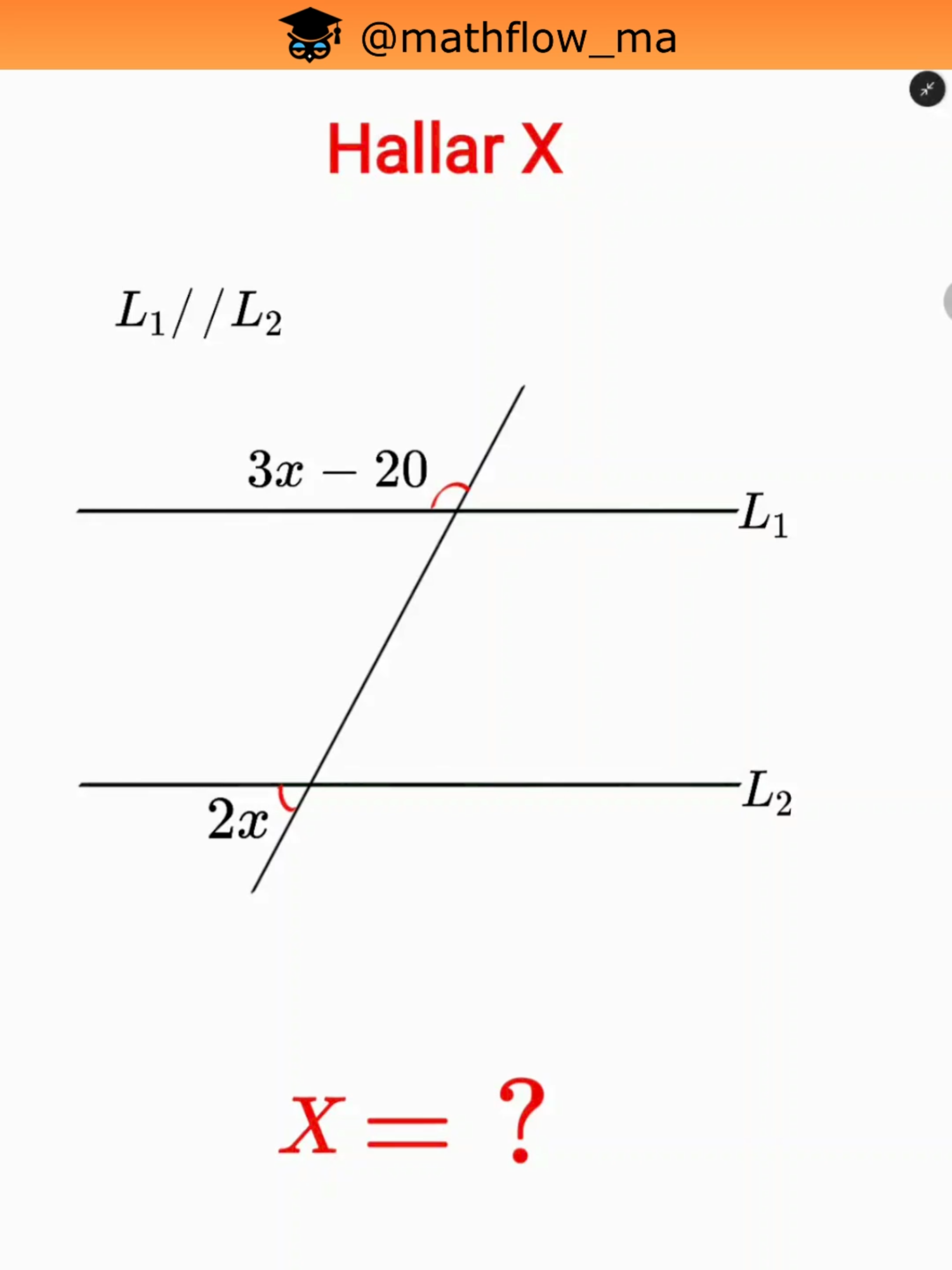 Geometria #matematica #ejerciciosencasa #tareasdelcolegio #arimetica #division #edades #algebra #angulos #geometria
