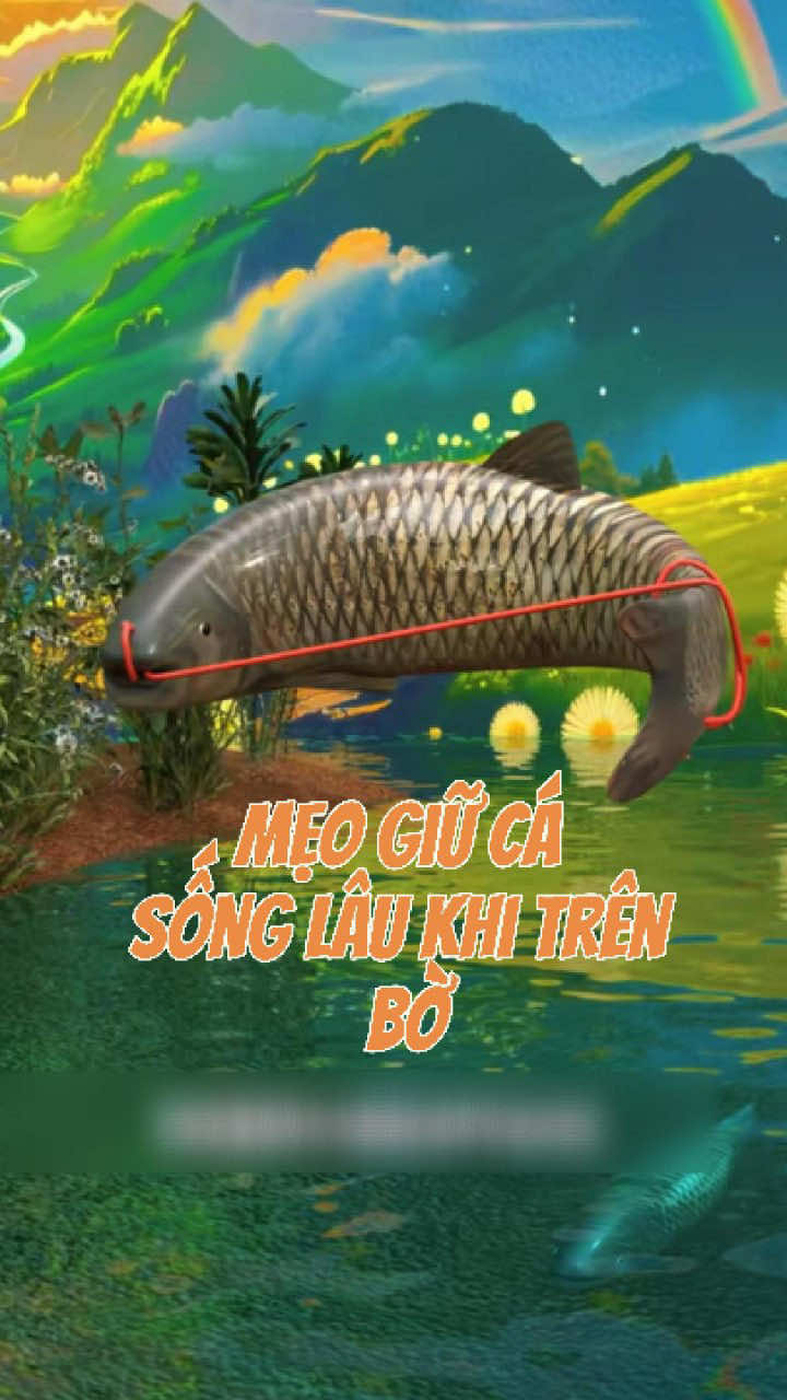 cách để chú cá sống được trên bờ #cothebanchuabiet #xuhuong #suthatkhoahoc #cauca 