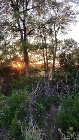 #tiktoklive #livehighlights #firstdroneflightlive #firstdroneflight 