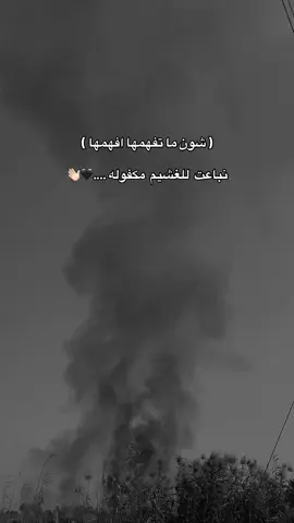 #عباراتكم  #تصويري_احترافي_الاجواء👌🏻🕊😴 #مالي_خلق_احط_هاشتاقات 