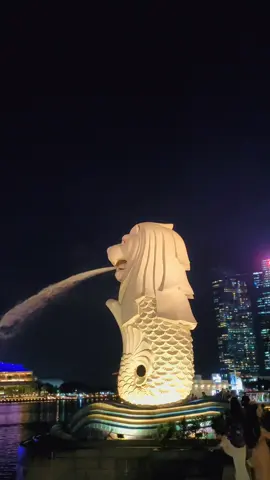 Merlion park at night#singapore #สิงคโปร์ #merlionpark 