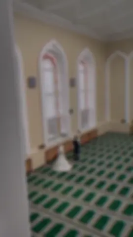 وَجَعَلَ بَيْنَكُمْ مَوَدَّةً وَرَحْمَةً ۚ #قران #القارئ_محمد_عبده #سورة_الروم #viral @زِيَـــادْ ضَيْـــفْ #القران_الكريم_ 