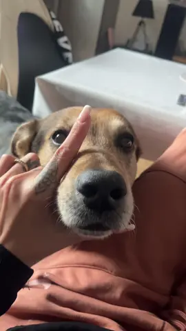 Un peut galère mais on a tenter 😅🫶🏼