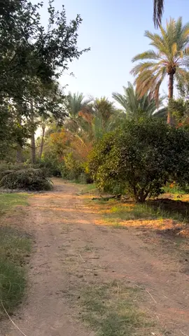 #ساجده_عبيد🙂💃 #بس_حجي_العالم_كسبنا🙂 #تصوري📸 #بغداد 