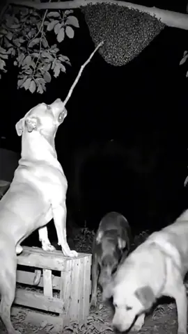 #💟💔💕💖💗💘 #ငါသေမှပဲfypပေါ်ရောက်မှာလား😑 