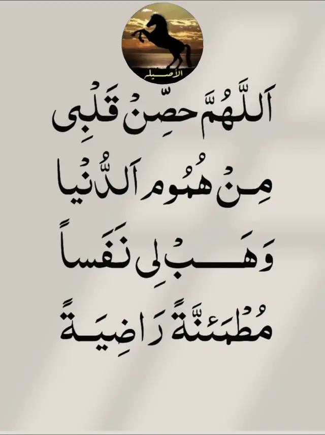 عليه_افضل_الصلاه_والسلام♥️ معا_الى_الجنه_🎶♥️ ‏mea_ala_aljnh_🎶♥️