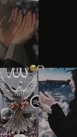 #دعاء_يوم_السبت  #دعاء_عظيم #اللهم_امين #🤲🤲🤲 #🤲🤲🤲 