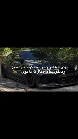 🖤🐆#fyp #foryou #viral #duhok_zaxo_amedi_semel_akre_hawler #kurdistan🇹🇯️ 