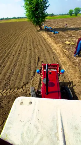 #میرا_سہنا_پنڈ_لاکھو_کالم_ضلع_قصور♥️🍁🌴🌱😇 #shani_mayo1 #shanimayo 