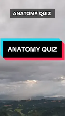 Anatomy quiz!Can you get 6/6?#quiz #quiztime #quizchallenge #quizshow #anatomy #anatomyclass #biology #human #doctor #nurse #nursesoftiktok #doctorsoftiktok #viral #LearnOnTikTok #usa🇺🇸 #usa_tiktok 