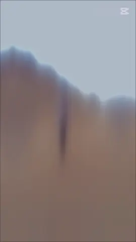 জীবন টা,তেজপাতা 🥺🤟