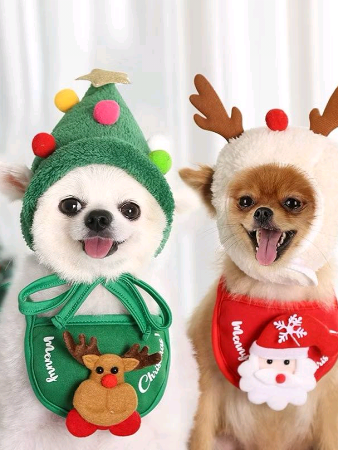 Pet Costume De Natal Chapéu Do Cão🐕✨🌟 🛍️ Veja como encontrar na Shopee pelo ID ou link nos comentários 🛒 @Vitrine dos Descontos 🛍️  #shopeebrasil #foryou #fyp #vaiprofy  #pet 