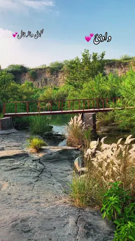 وادئ سون سکیسر❤️#soonvalley #100kviews #viral #foryou #nature 