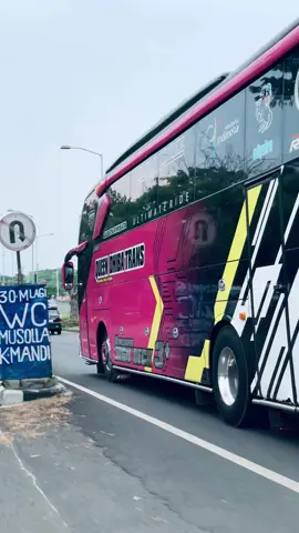 #fypage #indobuslovers #bismaniacommunity #dutaabaditrans #suramadu 