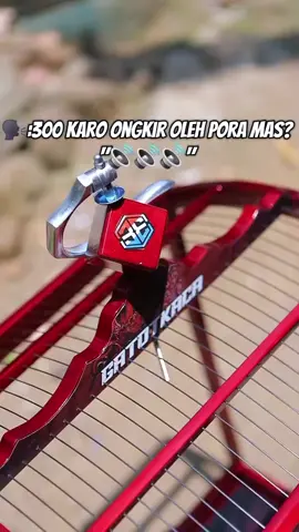 gatotkaca by edc sangkar #sangkarburung #kenarimaniaindonesia #fyp #sangkarnyeni