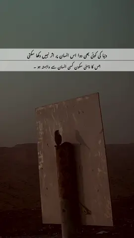 #دنیا کی کوئی بھی دوا اس #انسان پر اثر نہیں دکھا سکتی جس کا #ذہنی #سکون کسی #انسان سے وابستہ ہو ۔