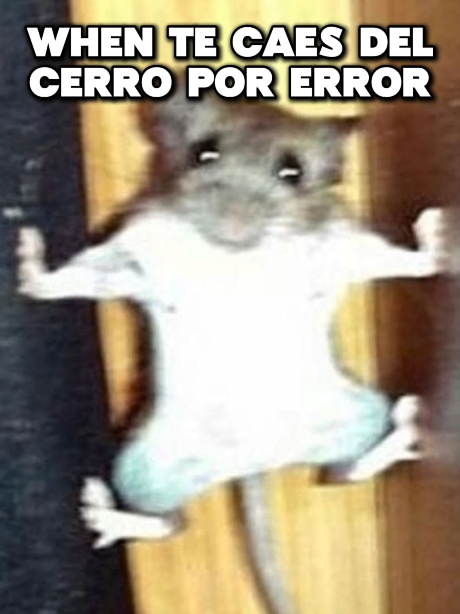 Cuando te caes por acidente de un cerro... #koirandoshil #koiranclips #random #fyp