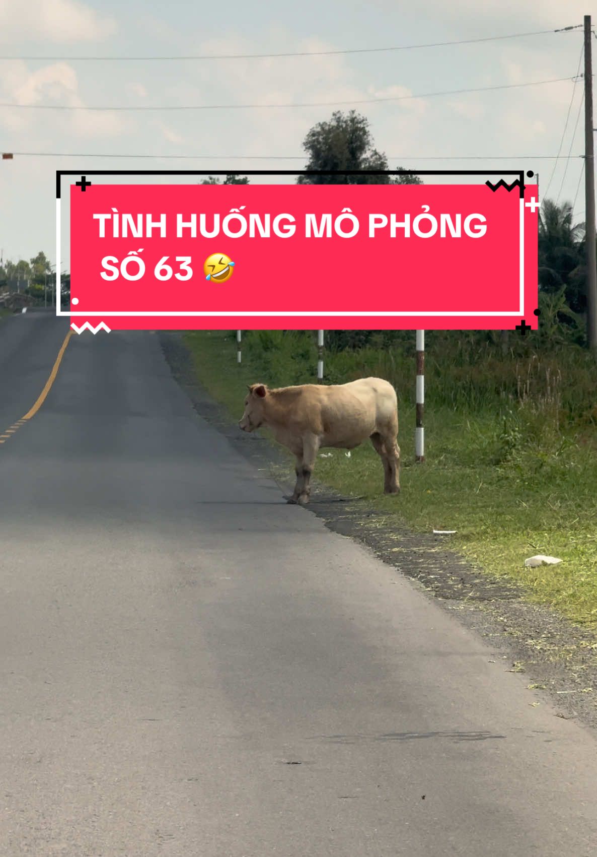 Tình huống mô phỏng thực tế 🐮 😬#daylaixecamau #daotaolaixe #hạngc1 #69camau #càmau 