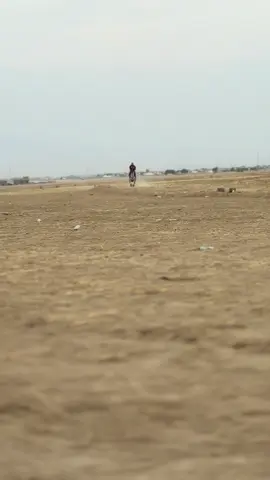 عـز الجبـور🔥🔥#فرسان_العلم🇮🇶🦅🔥 #العز #خيل_وخياله🐎 #ماشاءاللّٰه_سبحان_اللّٰه_💖 #الخيل_من_خيالها 