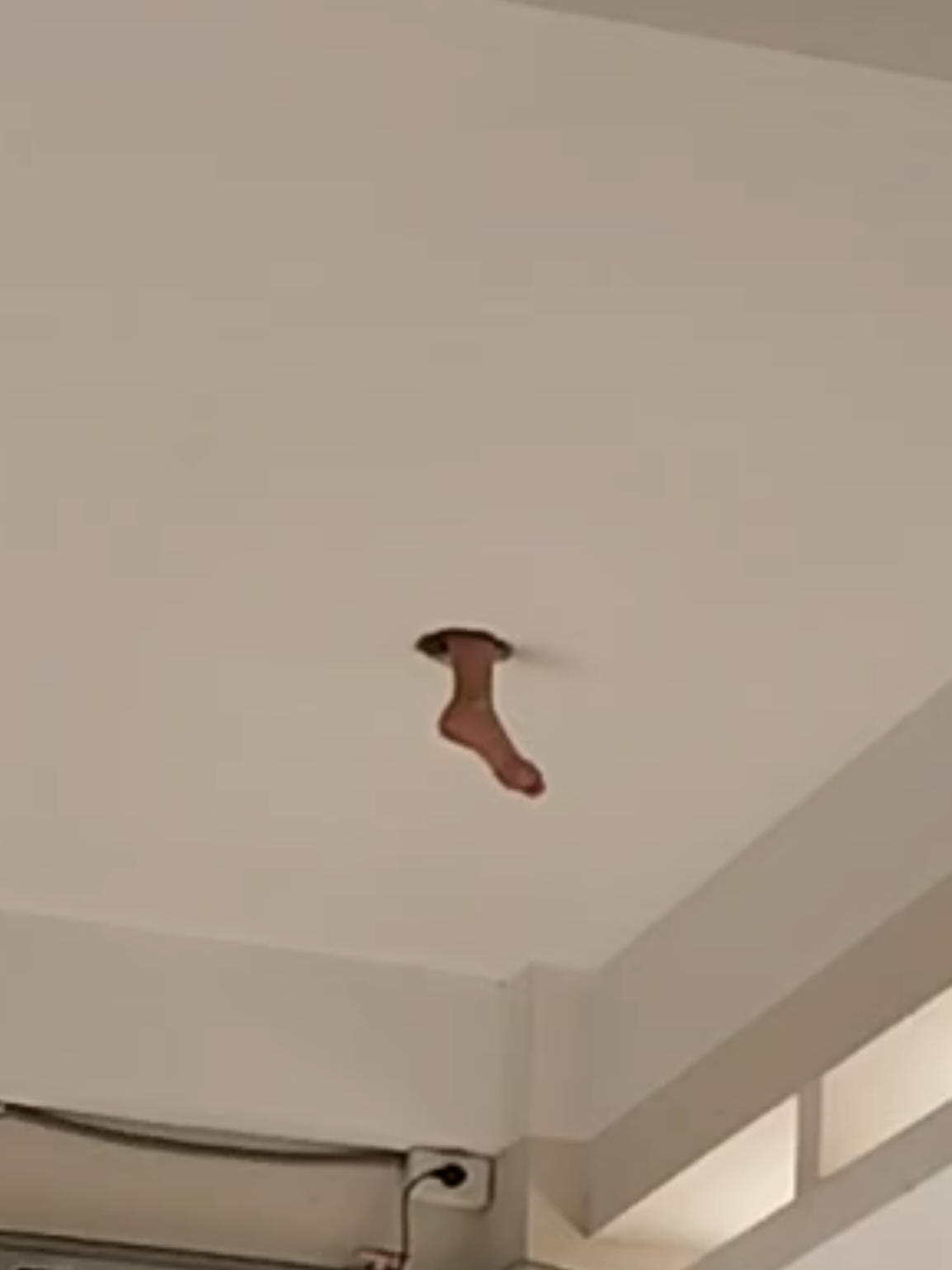 oi thoi chet, hú hồn #xuhuong #to210c1 #thptphamvandongnhatrang #fpy #fyp 