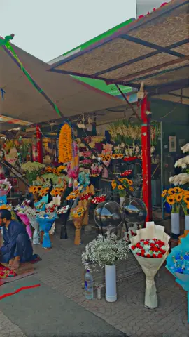 تو میرا اک خواب ہے جسے میں کبھی نہیں پاسکتا ❤️‍🩹#foryouu #foryoupage #fypシ #viralvideo 