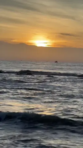 ااااخ ياذيج المحنه  شكثر متندم عليها #ستوريات١٩٩٧ 