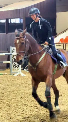 Sweetest giant🤎 #خيل_وخياله🐎 #ArabTikTok #miraalkhouli #fyp #سوريا 