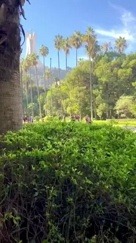 #الجزائر #الوطن_العربي #خضراء_بإذن_الله #CapCut 