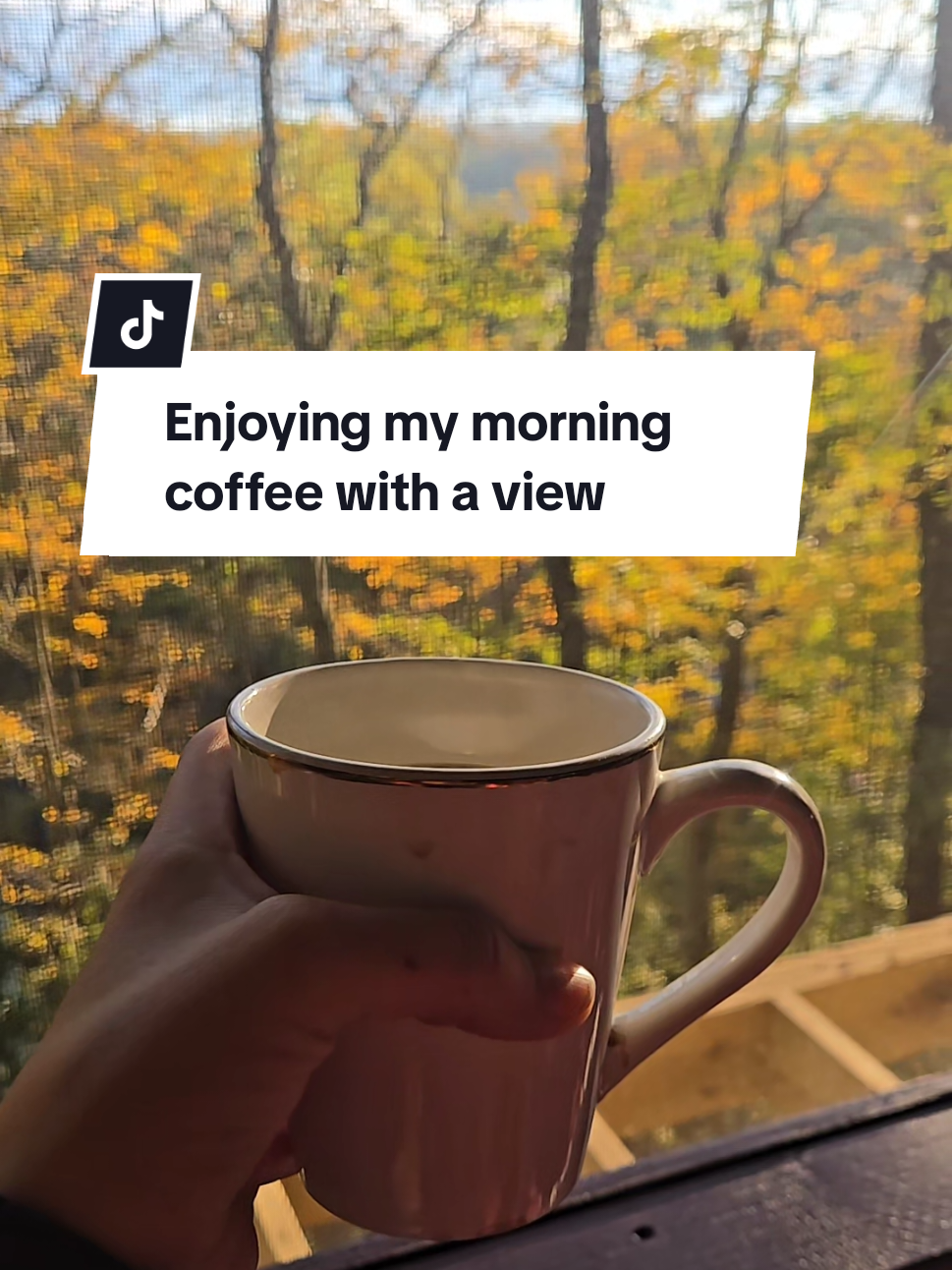 Morning coffee tastes different when your backyard looks like a fairytale. 🍂☕✨ . #Cottagecore #CozyMornings #CottageInTheWoods #WhimsicalHome #NatureAesthetic #SlowLiving #ForestMagic #CozyVibes #MorningRitual #foryou 