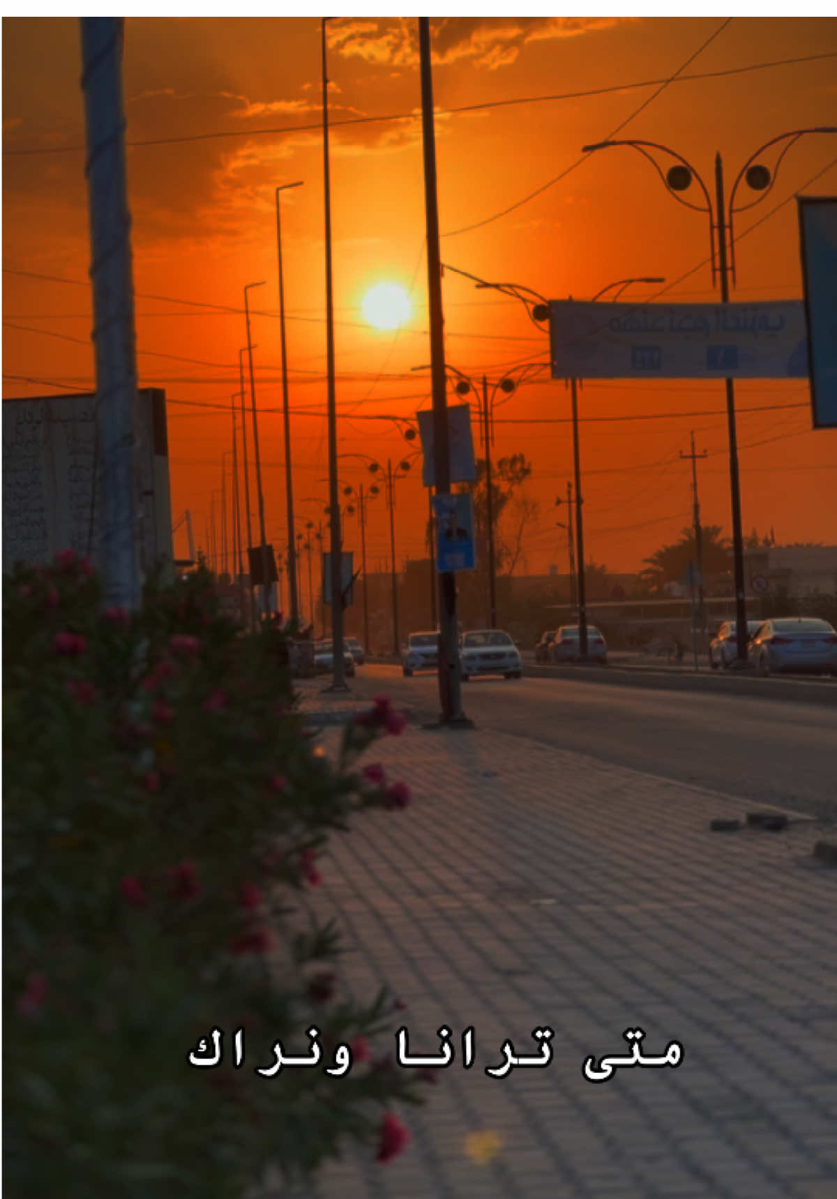 متى ترانا ونراك #العجل_يامهدي🤍  #الجمعة #CapCut #العراق #بابل 