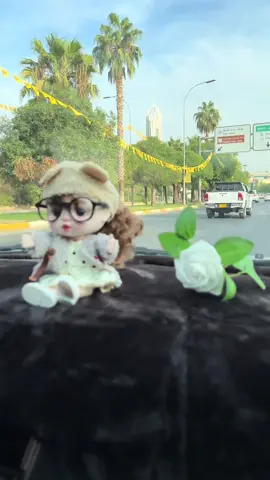 #اربيل_😔😒