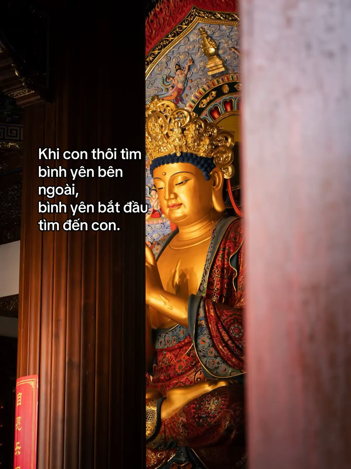 #phattaitam #phatday #phatphapnhiemmau #xh 