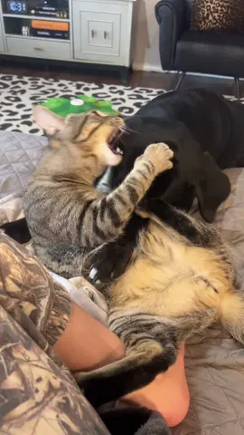 They love each other lol