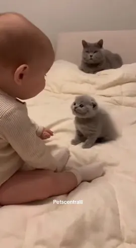 The baby and kitten are talking and hugging so adorable! 😍🤗 #cute #baby #funny #fyp 