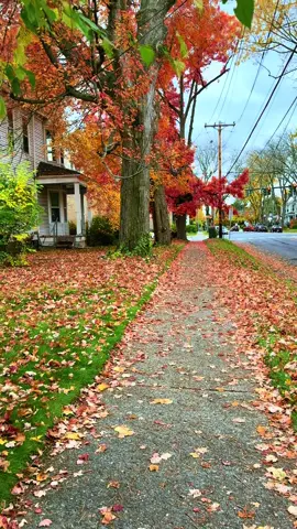 #newyork @Bilal Khan 🇺🇸 @.𓊈𒆜🅿🆁🅸🅽🅲🅴𒆜𓊉. @꧁𓊈𒆜GooD BoY𒆜𓊉꧂ @࿐Toᵣᵣ__Hₐ𝘴𝘴ₐÑ❄️♛^࿐ @▄︻̷̿┻̿𝑻.𝑼.𝑭.𝑨.𝑰.𝑳═━一 @🇵🇰ubaidkhan3207🇺🇲 @🍷🌹MüHæMmåD ZâFrãÑ 🌹🍷 @Ali Gohar @Anaskoko Anaskoko @AFRIDI♥️ @HAMZAO🫀 @خانKHàÑ84277 @Majid ali @nasir-pohan🇺🇸 @Mälík Südäïs @MH☠️ @𝑹𝑵. 𝑺𝒉𝒂𝒌𝒊𝒓 𝒁𝒆𝒃 @🆂🅷🅰🅺🅴🅴🅻 🅰🅺🅷🆃🅰🆁 🔵 