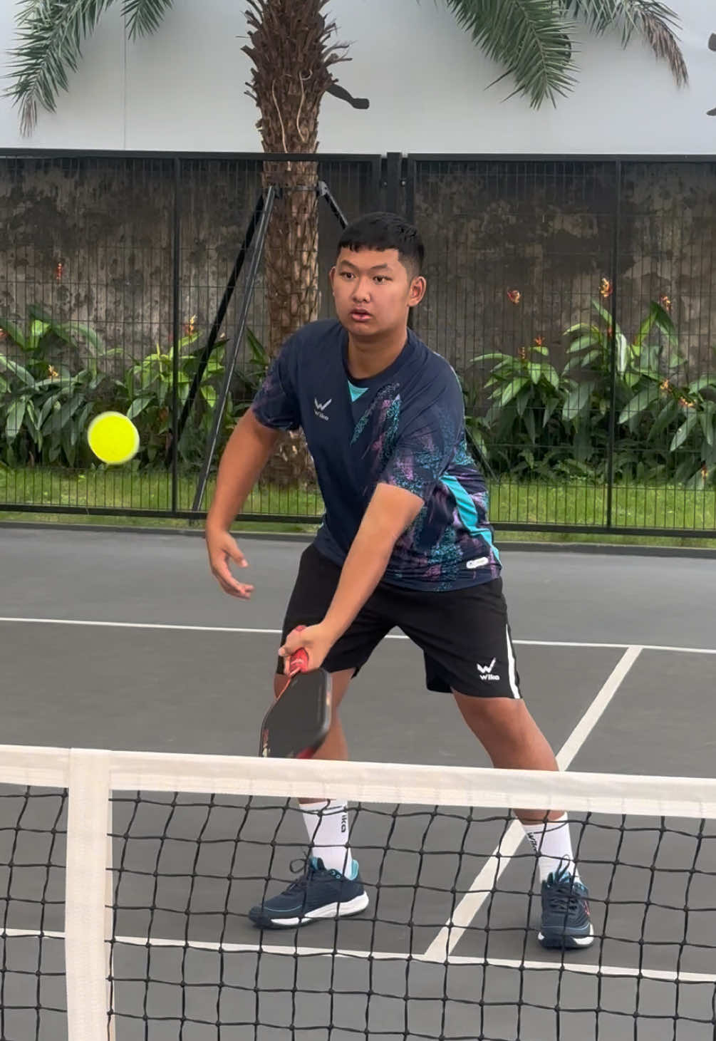 Thể dục thể thao sức khoẻ dồi dào… 🎶🎵 #pickleball #baoduongpickleball 