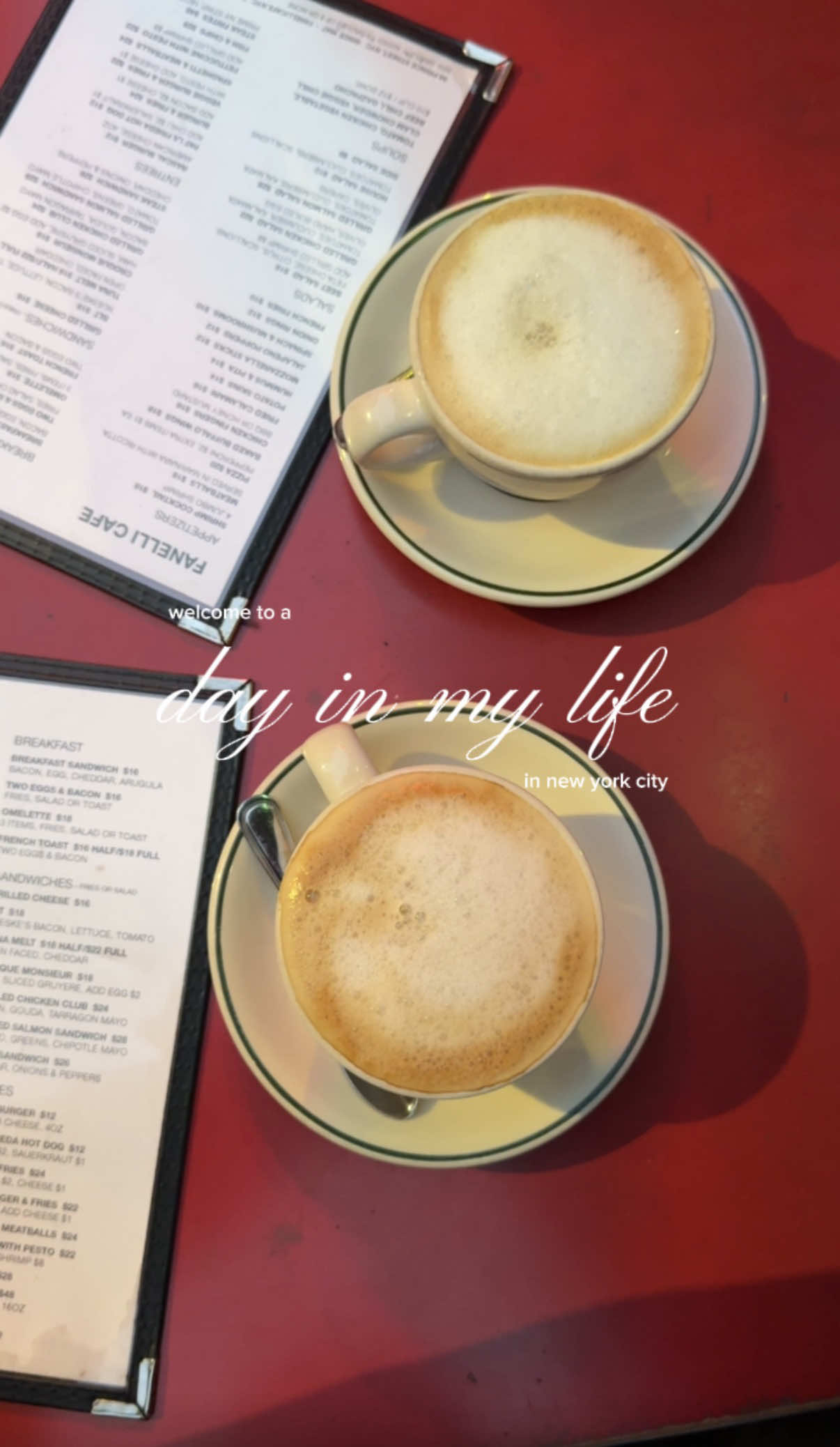 love a post work capp #dayinmylife #corporatelife #nyclife #nycvlog #nyccontentcreator @Hatch for Sleep @Hero US @Thayers @Skinfix @Innisfree US @Farmacy Beauty @Living Proof, Inc. @Ninja Kitchen @Aritzia @aestura_us @Dr. Dennis Gross 