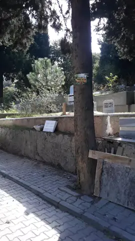 Bu yol ferdi tayfurun mezarına giden yol arkadaşlar 🌹🌹🌹🌹