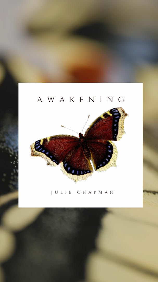 Listen to “Awakening” on Spotify or your favorite music streaming platform. Have a happy weekend! 🎹 #neoclassical #piano #nature #meditationmusic #steinway 