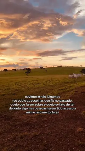#fyp #viraltiktok #frases 