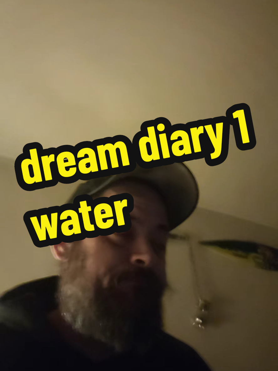 i didnt pick the music tic tok did #ertdizzlers #dreamdiary 