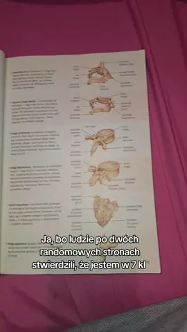jak ktoś nie wie o co chodzi to zapraszam na mój profil (przypięty film z rozszerzoną biologią) #dlaciebie #foryou #zasięgi #meme 
