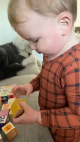 Just keep trying!! 😎 encouragement from a 2 year old works! happy Friday. ☀️ @Ms Rachel #fyp #creatorsearchinsights 