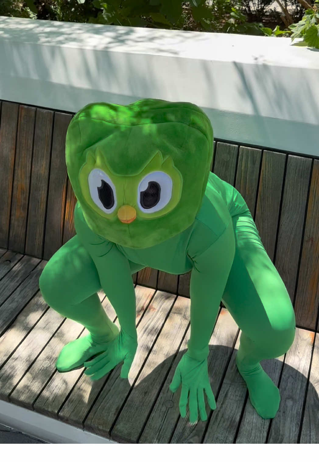 group 7 this is our final form  #duolingo #streakreminder #group7 