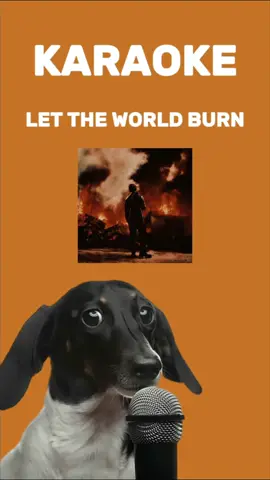 Let the world burn - Chris Grey  Lost in the fog I fear that there's still further to fall It's dangerous 'cause I want it all And I don't think I care what it costs I shouldn't have fallen in love Look what it made me become I let you get too close Just to wake up alone And I know you think you can run You're scared to believe I'm the one But I just can't let you go I'd let the world burn Let the world burn for you This is how it always had to end If I can't have you then no one can I'd let it burn I'd let the world burn Just to hear you calling out my name Watching it all go down in flames #karaoke #lettheworldburn #karaokedog #singchallenge #chrisgrey
