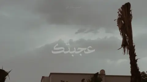 ورده X ليجي سي ✨.                                      #fyp #mediaawyy #ورده #ليجي_سي #بدون_موسيقى @Lege-Cy 