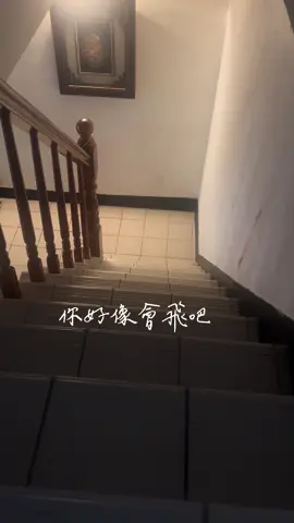 翅膀應該是裝飾用的，忘記自己會飛