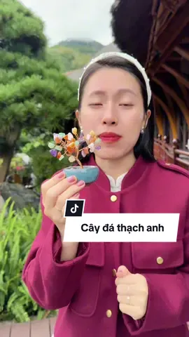 Cây đá thạch anh mang năng lượng mạnh #caydathachanh #cayphongthuy #ngocngannga 