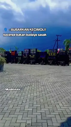 Bejorakk Semeton!! #fypppppppppppppp #lombokfypp #lomboktiktok_fyp🌴 #kecimolsasak 